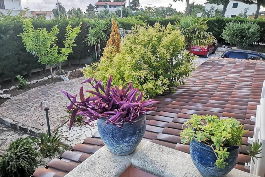 Villa Arenella Вьесте Экстерьер фото
